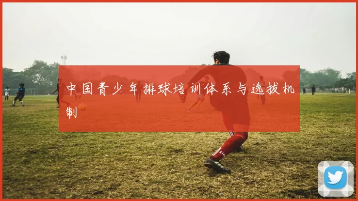 中国青少年排球培训体系与选拔机制